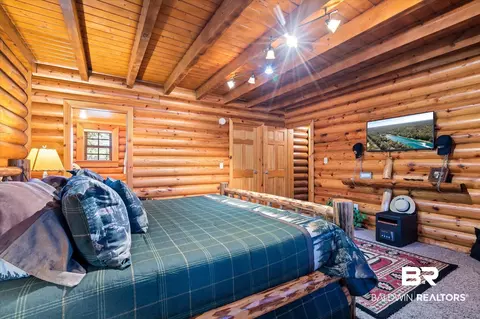 10659 Ski Chaste Ln, Axis, AL 36505 photo 11