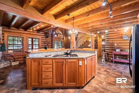 10659 Ski Chaste Ln, Axis, AL 36505 photo 4