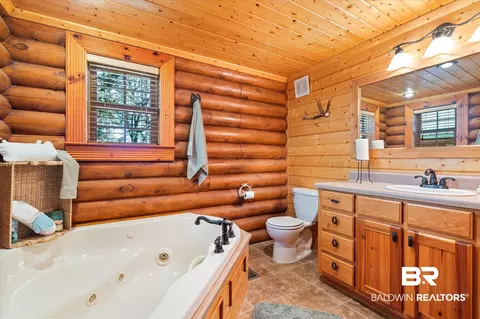 10659 Ski Chaste Ln, Axis, AL 36505 photo 12