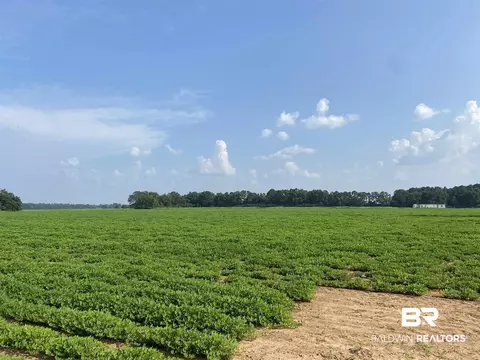 04 Highway 21, Atmore, AL 36502