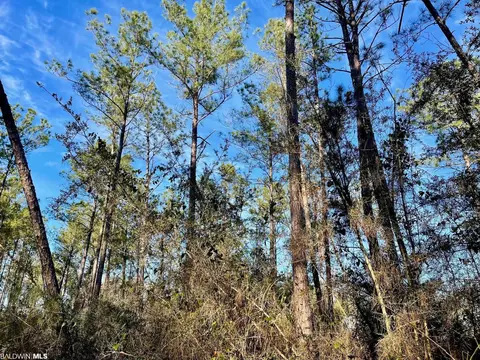 30147 Garoadner Rd, Elberta, AL 36530 photo 10