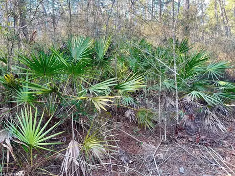 30147 Garoadner Rd, Elberta, AL 36530 photo 7