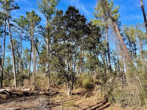 30147 Garoadner Rd, Elberta, AL 36530 photo 3