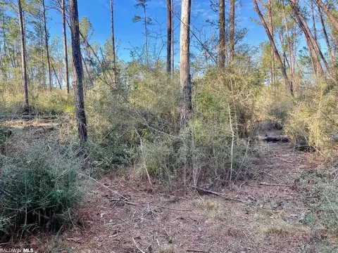 30147 Garoadner Rd, Elberta, AL 36530 photo 4