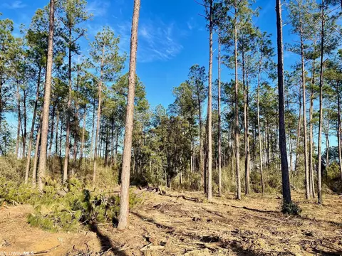 30147 Garoadner Rd, Elberta, AL 36530 photo 24