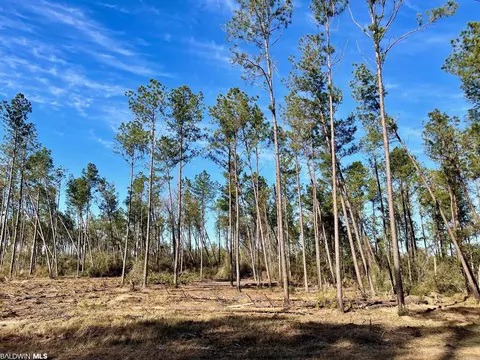 30147 Garoadner Rd, Elberta, AL 36530 photo 1
