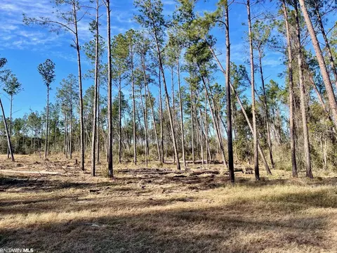 30147 Garoadner Rd, Elberta, AL 36530 photo 2