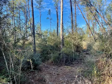 30147 Garoadner Rd, Elberta, AL 36530 photo 6