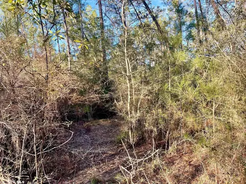 30147 Garoadner Rd, Elberta, AL 36530 photo 17