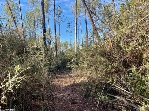 30147 Garoadner Rd, Elberta, AL 36530 photo 20