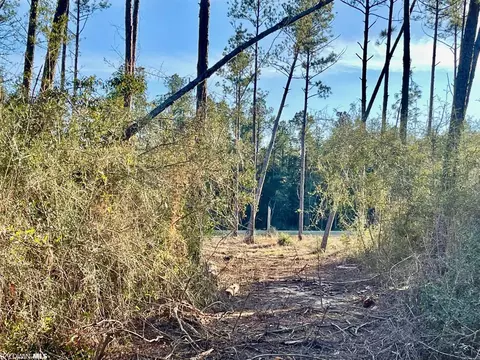 30147 Garoadner Rd, Elberta, AL 36530 photo 23