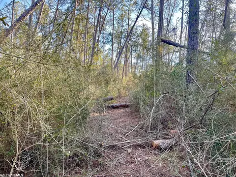 30147 Garoadner Rd, Elberta, AL 36530 photo 5