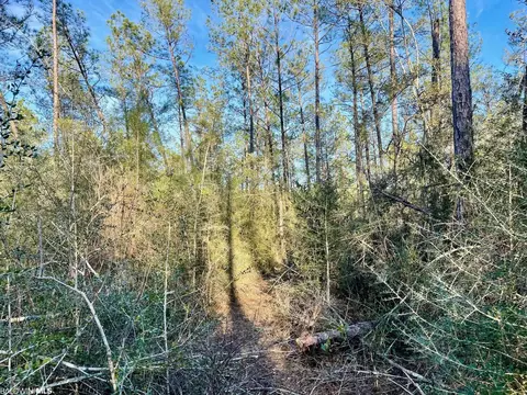 30147 Garoadner Rd, Elberta, AL 36530 photo 16