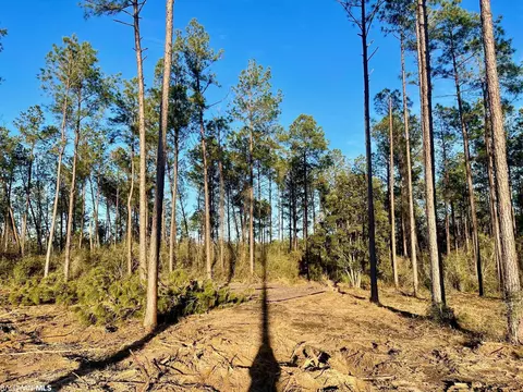 30147 Garoadner Rd, Elberta, AL 36530 photo 9