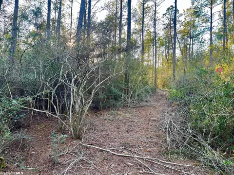 30147 Garoadner Rd, Elberta, AL 36530 photo 8