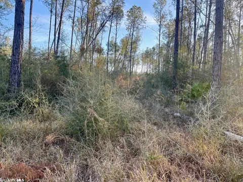 30147 Garoadner Rd, Elberta, AL 36530 photo 25