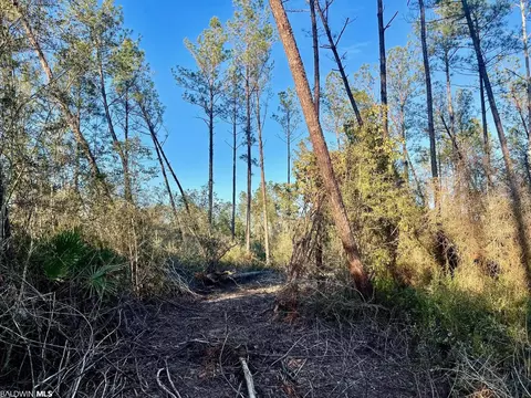 30147 Garoadner Rd, Elberta, AL 36530 photo 15