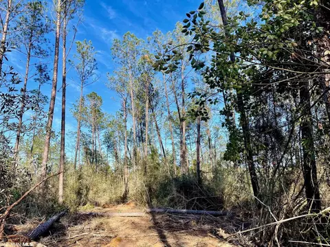 30147 Garoadner Rd, Elberta, AL 36530 photo 19