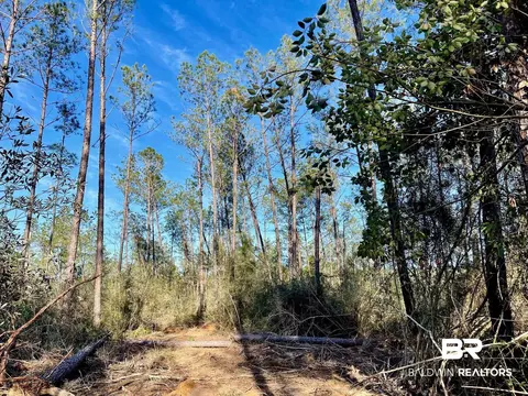 30147 Garoadner Rd, Elberta, AL 36530 photo 19