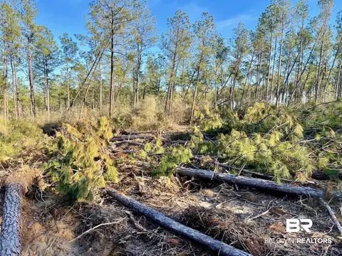 30147 Garoadner Rd, Elberta, AL 36530 photo 14