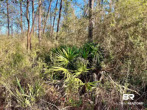 30147 Garoadner Rd, Elberta, AL 36530 photo 11