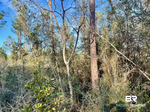 30147 Garoadner Rd, Elberta, AL 36530 photo 21