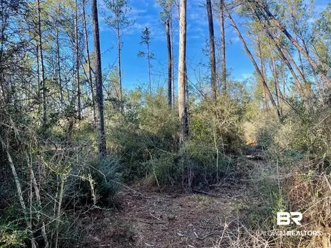 30147 Garoadner Rd, Elberta, AL 36530 photo 6