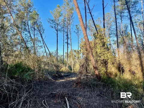 30147 Garoadner Rd, Elberta, AL 36530 photo 15