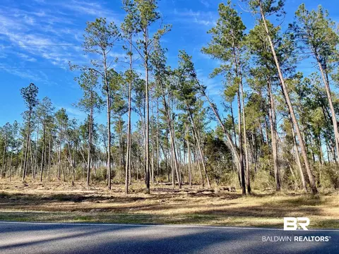 30147 Garoadner Rd, Elberta, AL 36530 photo 28