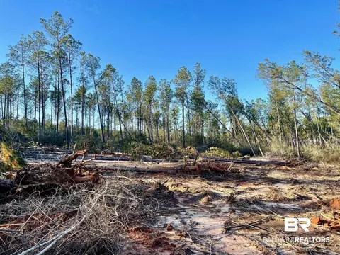 30147 Garoadner Rd, Elberta, AL 36530 photo 13