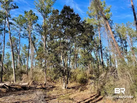 30147 Garoadner Rd, Elberta, AL 36530 photo 3