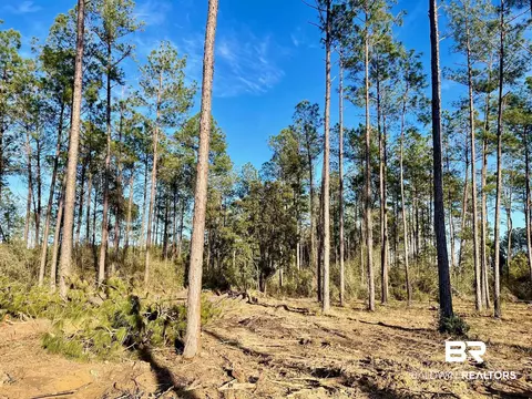 30147 Garoadner Rd, Elberta, AL 36530 photo 24
