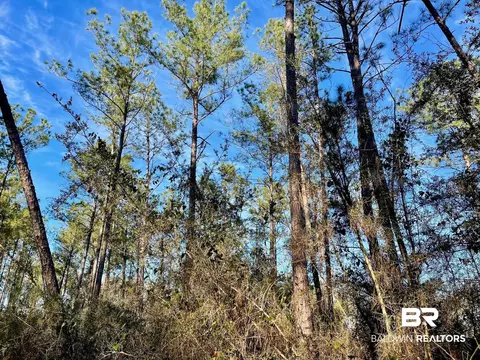 30147 Garoadner Rd, Elberta, AL 36530 photo 10