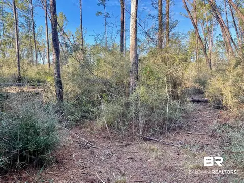 30147 Garoadner Rd, Elberta, AL 36530 photo 4