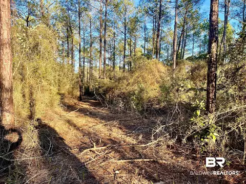 30147 Garoadner Rd, Elberta, AL 36530 photo 27