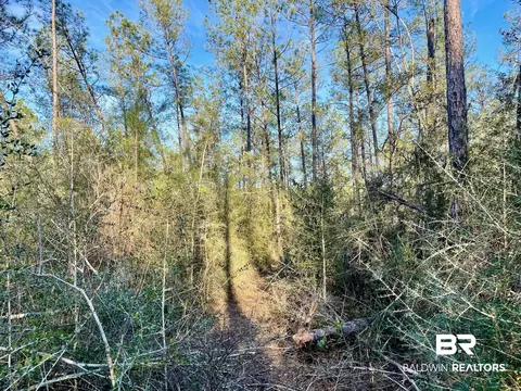 30147 Garoadner Rd, Elberta, AL 36530 photo 16