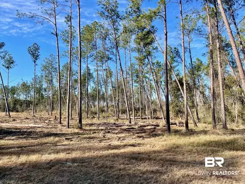 30147 Garoadner Rd, Elberta, AL 36530 photo 2