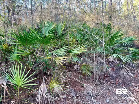 30147 Garoadner Rd, Elberta, AL 36530 photo 7