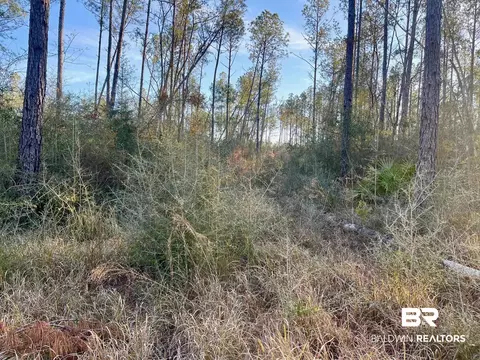 30147 Garoadner Rd, Elberta, AL 36530 photo 25