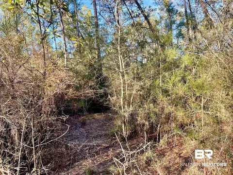 30147 Garoadner Rd, Elberta, AL 36530 photo 17