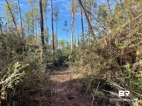30147 Garoadner Rd, Elberta, AL 36530 photo 20