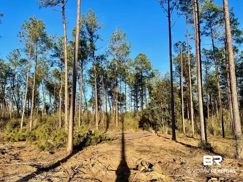 30147 Garoadner Rd, Elberta, AL 36530 photo 9