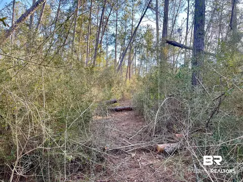 30147 Garoadner Rd, Elberta, AL 36530 photo 5