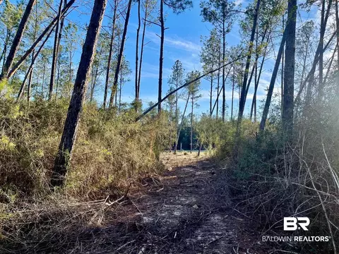 30147 Garoadner Rd, Elberta, AL 36530 photo 22
