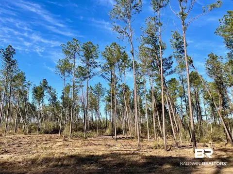 30147 Garoadner Rd, Elberta, AL 36530 photo 1