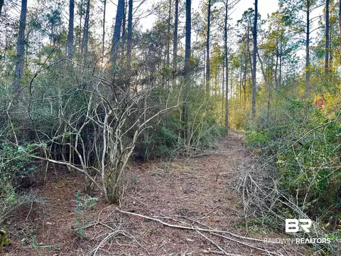30147 Garoadner Rd, Elberta, AL 36530 photo 8