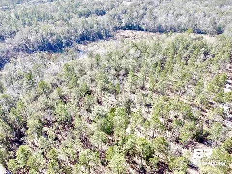 0 Dixon Rd, Bay Minette, AL 36507