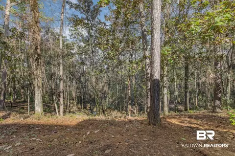 235 Montclair Loop, Daphne, AL 36526 photo 46