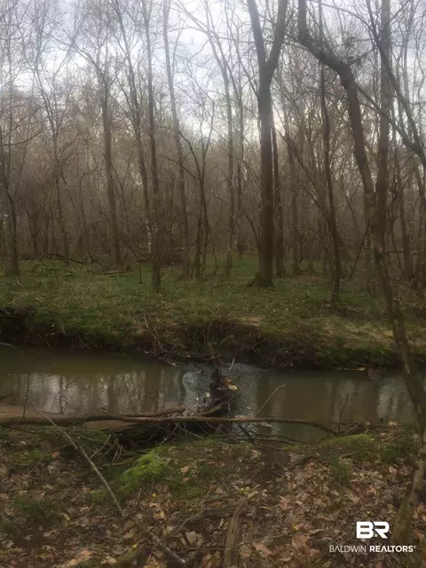 0 W W Hwy 84, Castleberry, AL 36401