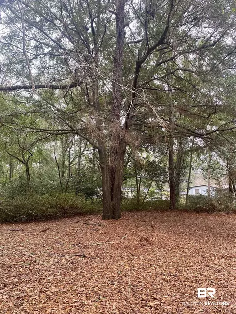 325 Bomar Pl, Mobile, AL 36609 photo 11